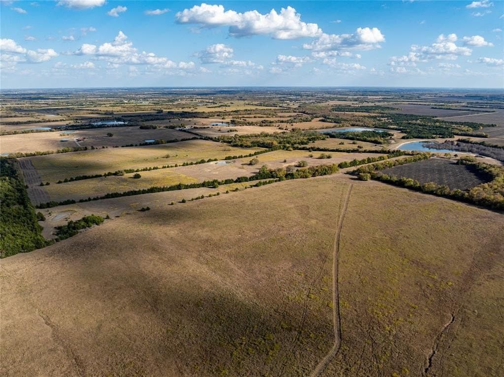 150.9 acres in Lamar County - photo 6