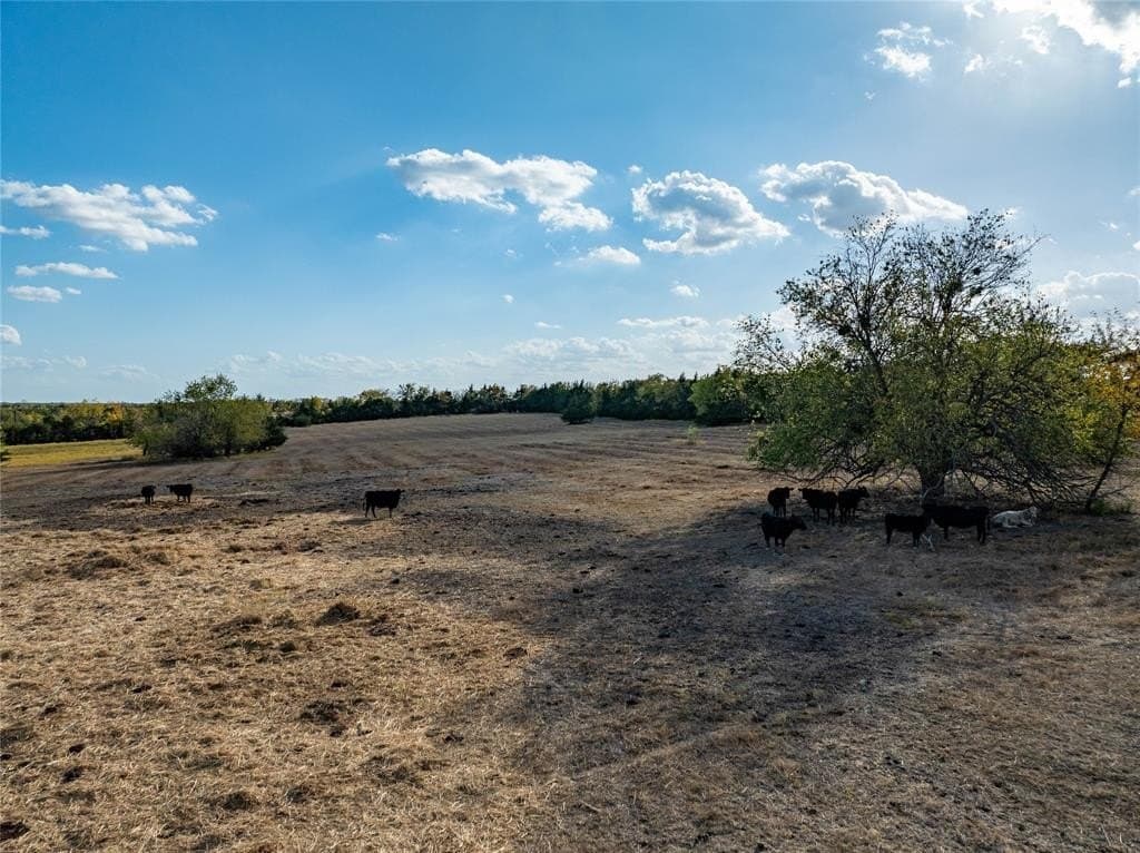 150.9 acres in Lamar County - photo 10