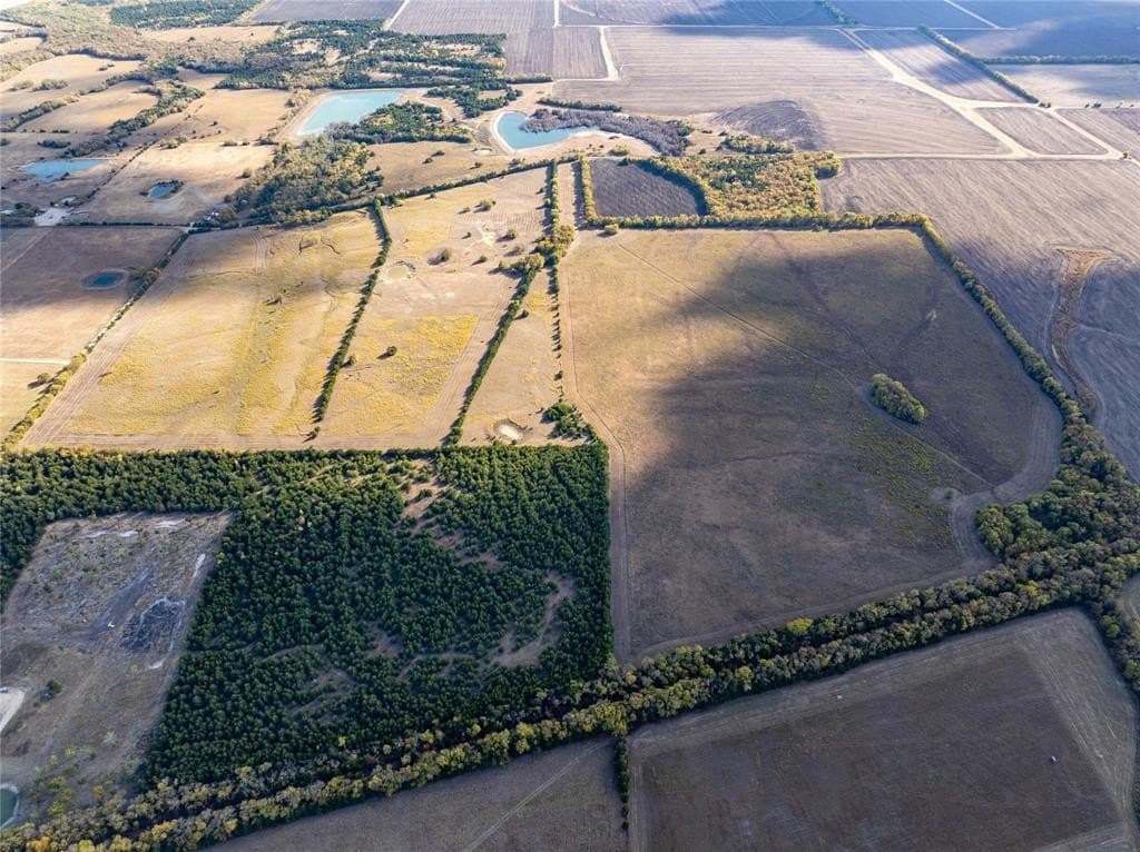 150.9 acres in Lamar County - photo 4