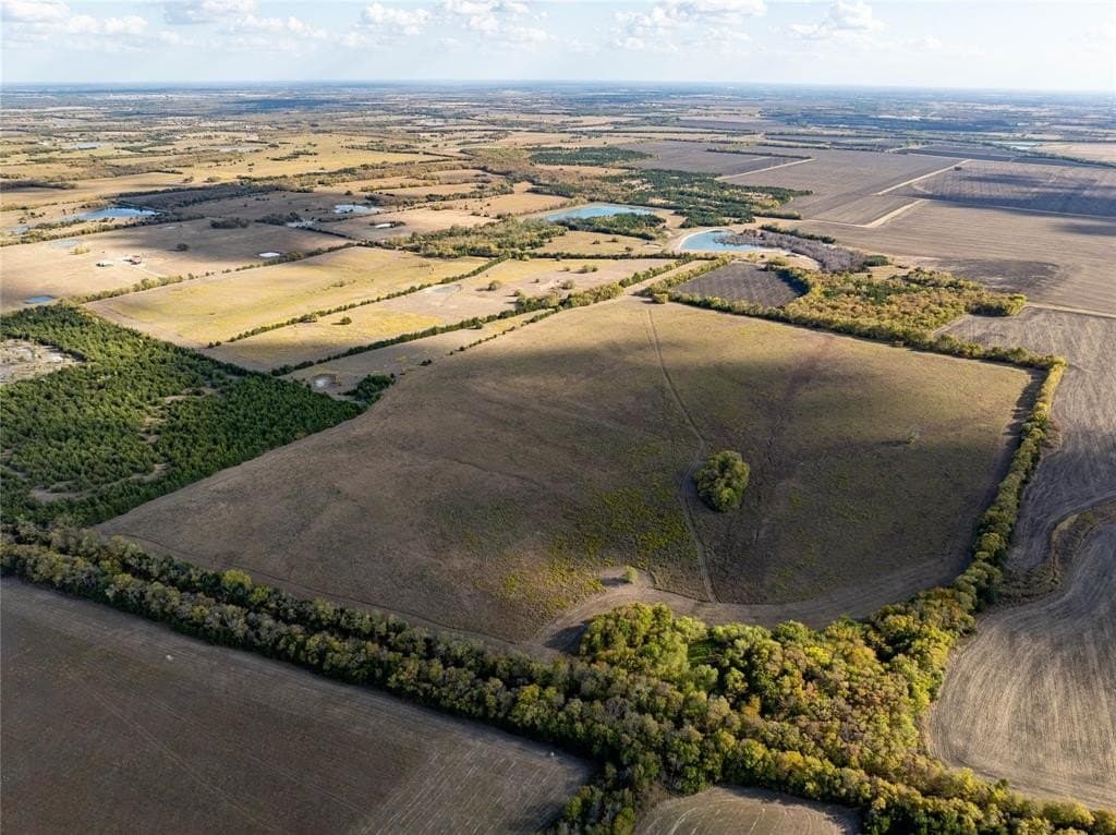150.9 acres in Lamar County - photo 5