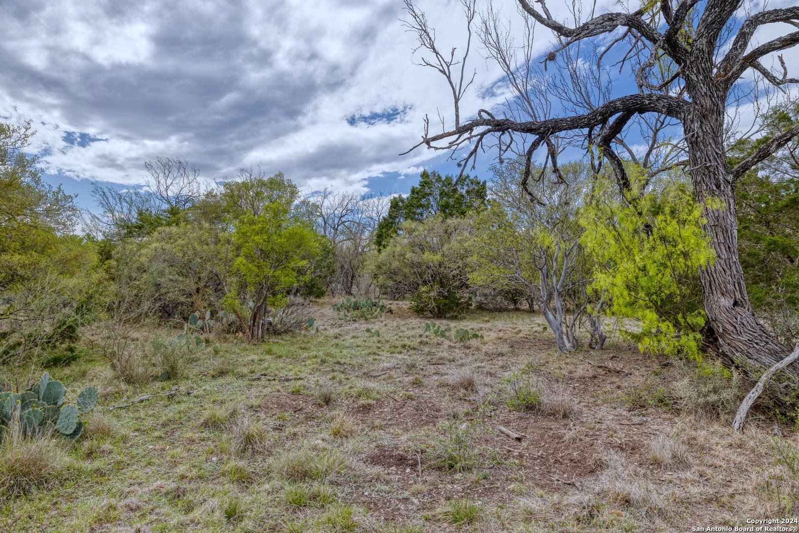 16.87 acres in Uvalde County - photo 5