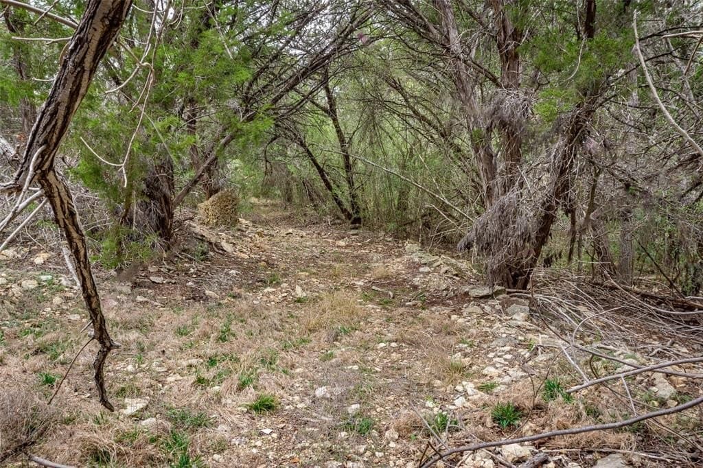 13.48 acres in Comal County - photo 17