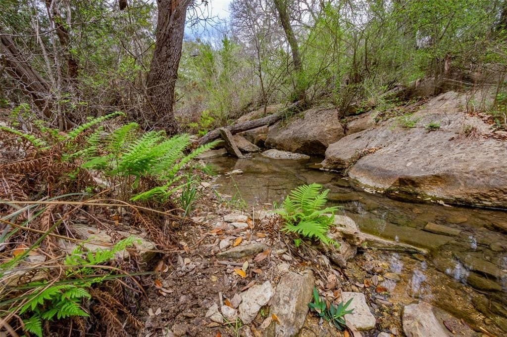 13.48 acres in Comal County - photo 16
