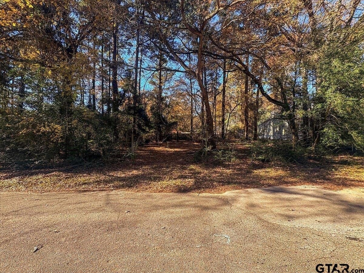 0.16 acres in Cherokee County - photo 5