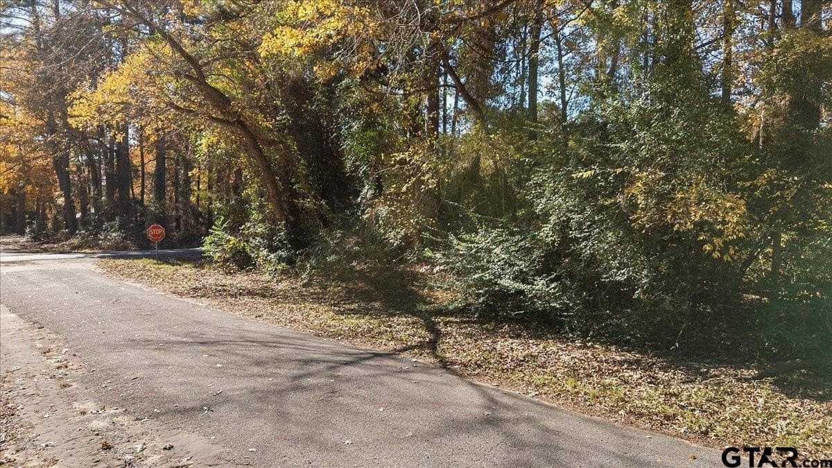 0.16 acres in Cherokee County - photo 2