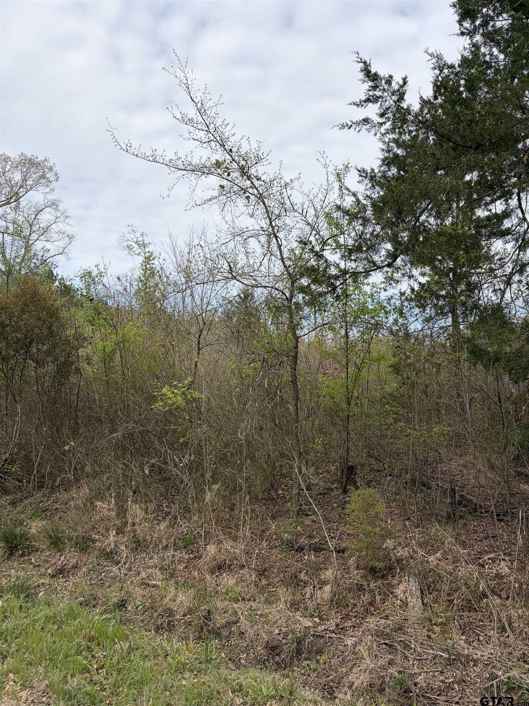 7.59 acres in Morris County - photo 5