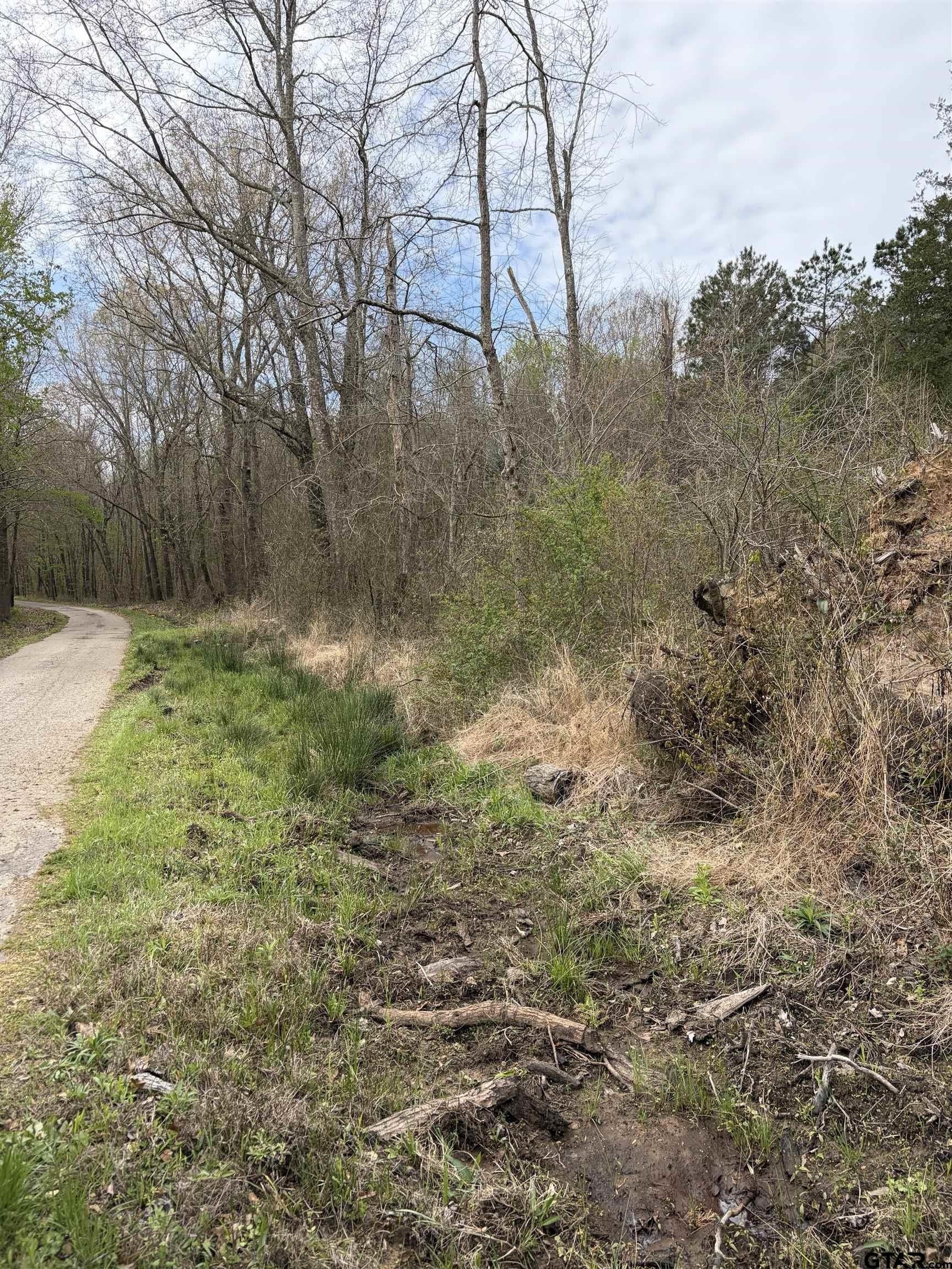 7.59 acres in Morris County - photo 4
