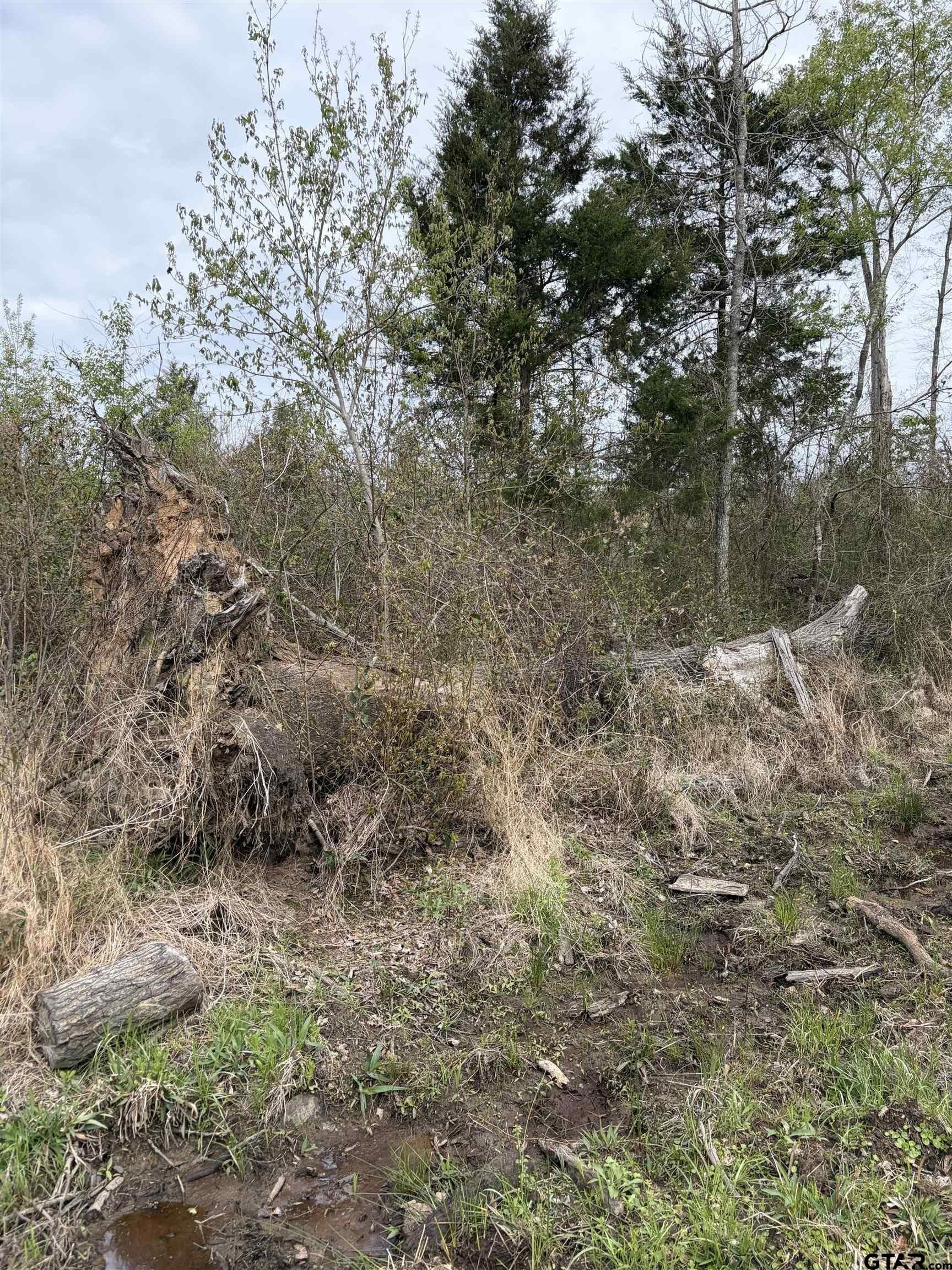 7.59 acres in Morris County - photo 3
