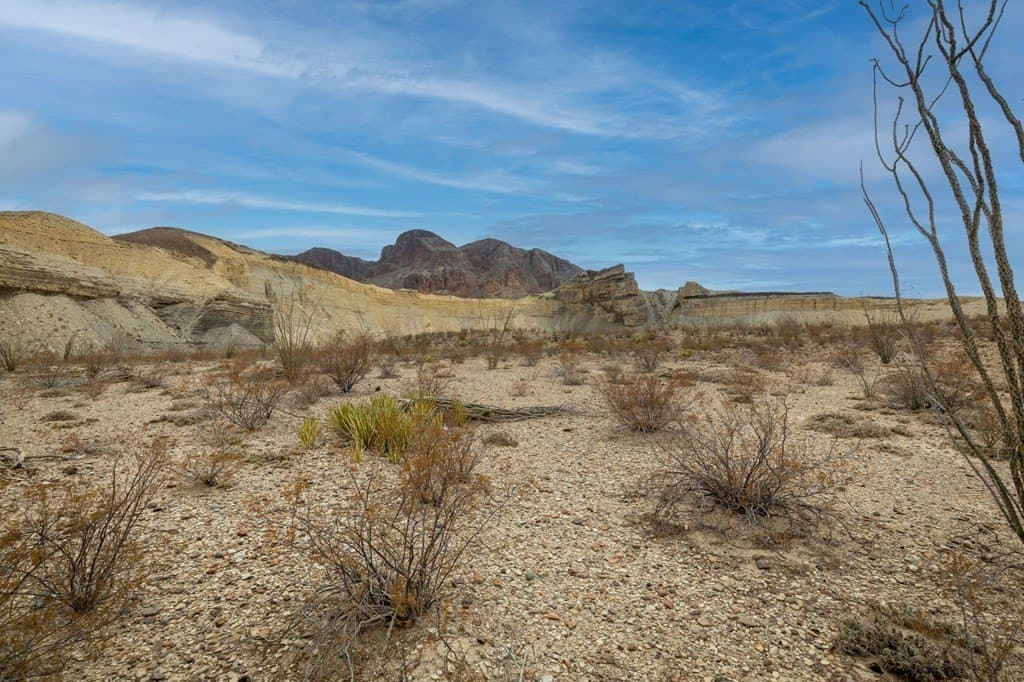 4,456.2 acres in Brewster County - photo 3