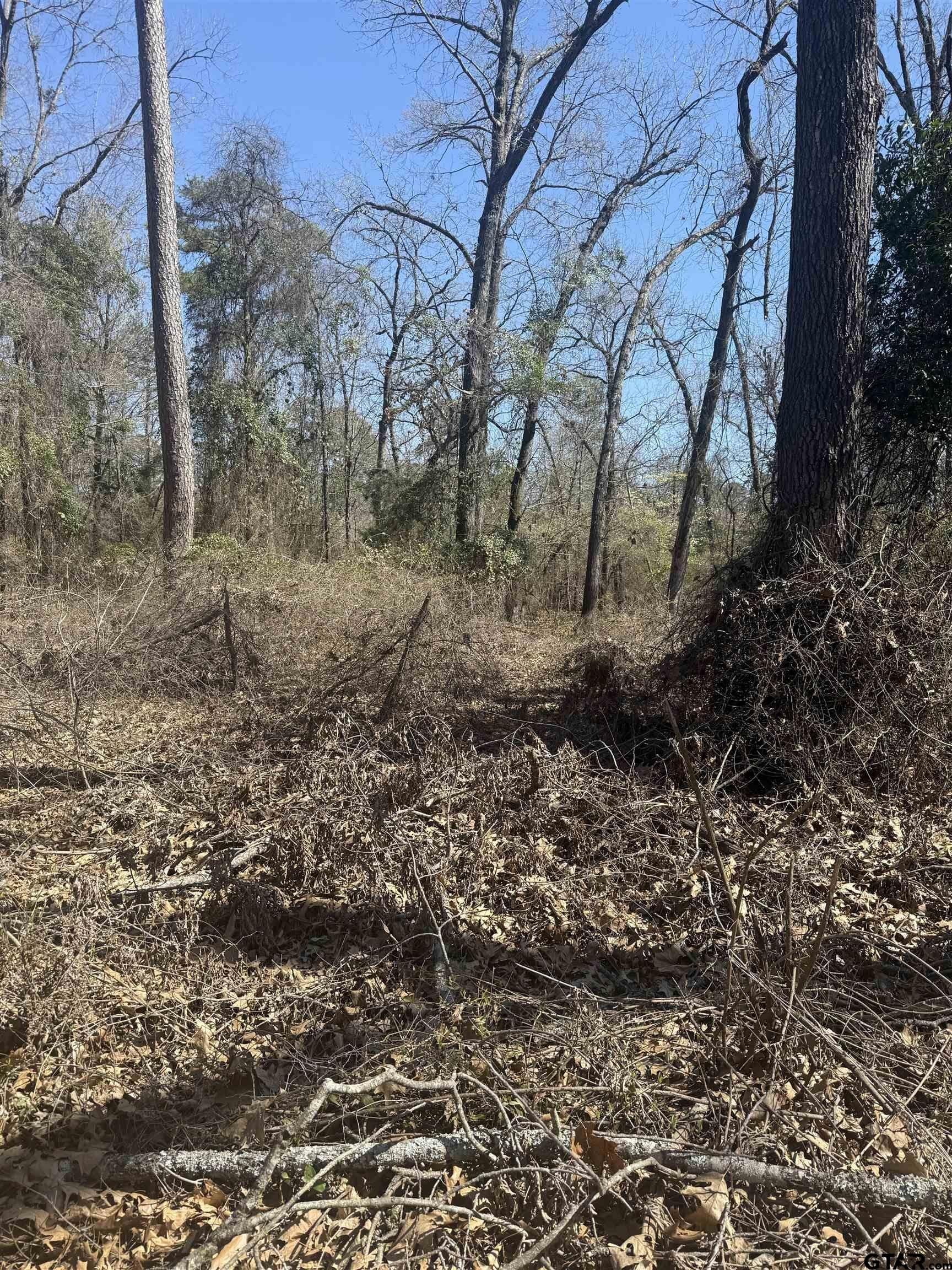 0.6 acres in Franklin County - photo 2
