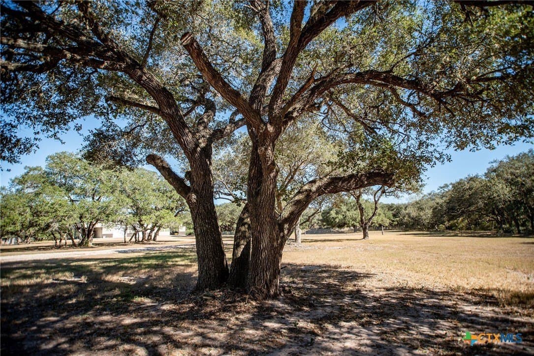 20 acres in Victoria County - photo 44