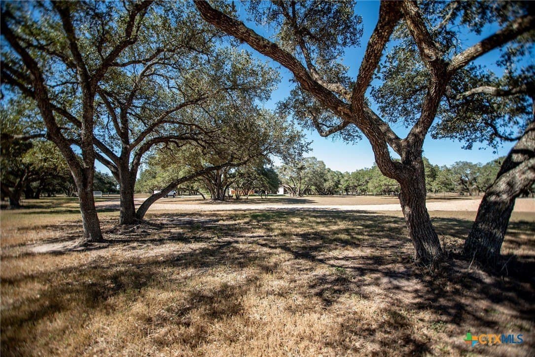 20 acres in Victoria County - photo 42