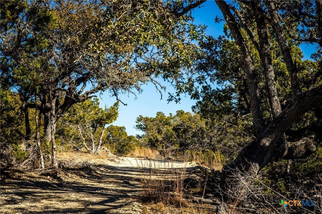 42 acres in Gillespie County - photo 14