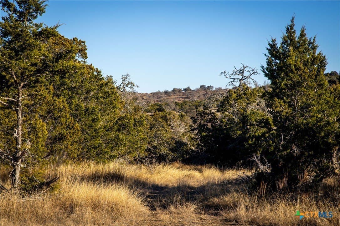42 acres in Gillespie County - photo 20