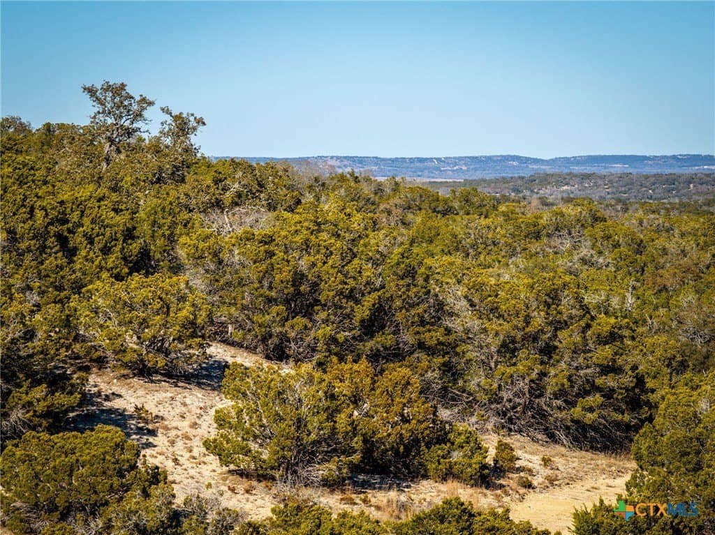 42 acres in Gillespie County - photo 18
