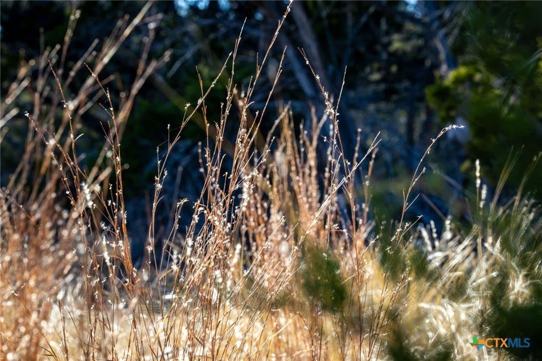 42 acres in Gillespie County - photo 30