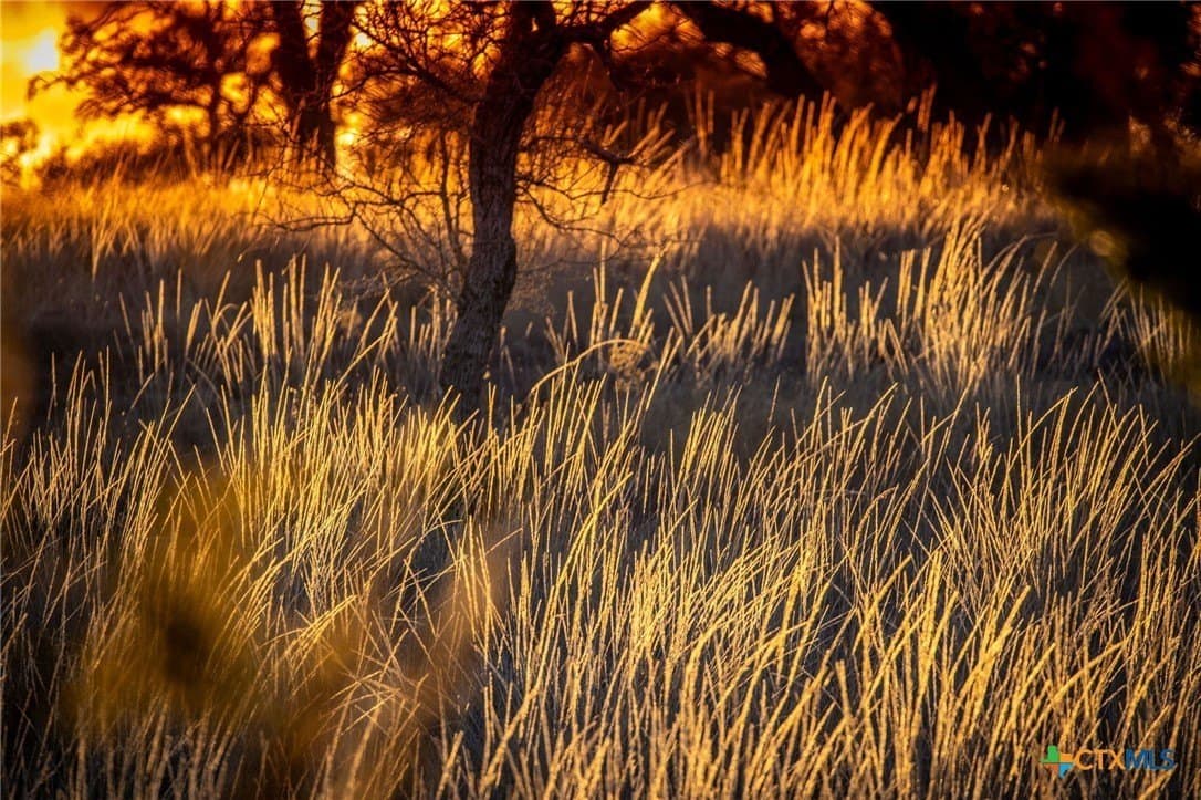42 acres in Gillespie County - photo 21