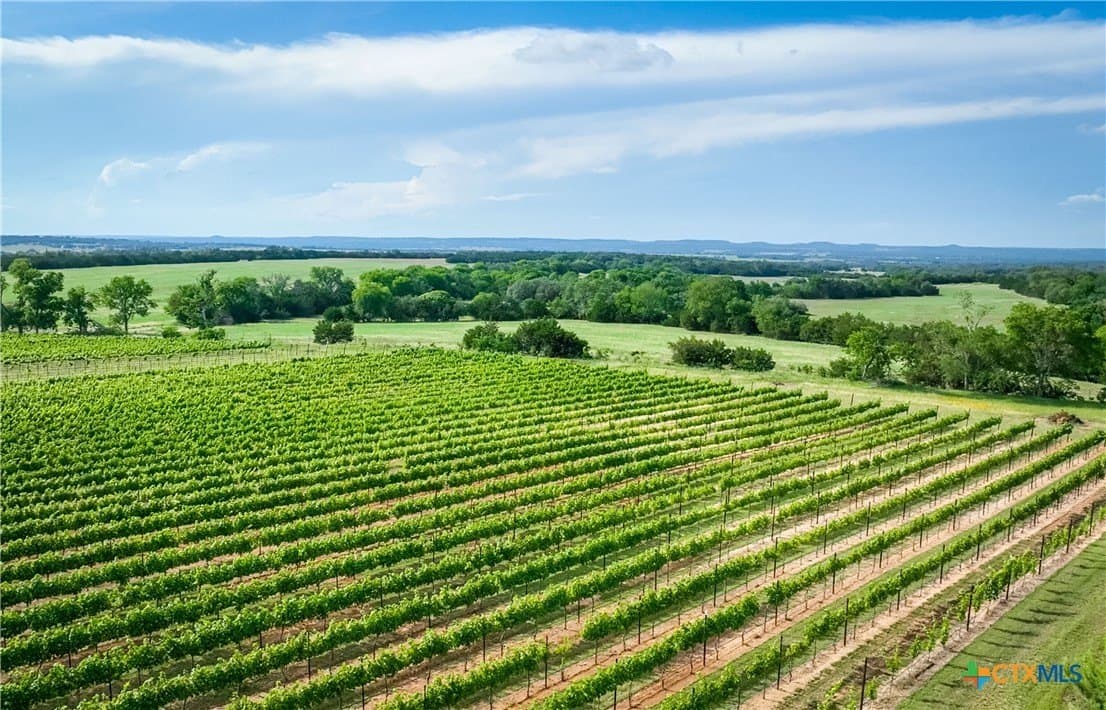 42 acres in Gillespie County - photo 40