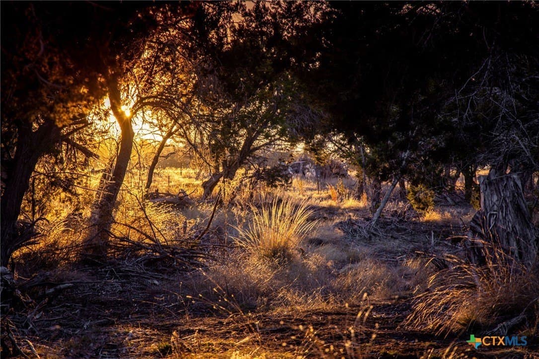 42 acres in Gillespie County - photo 28