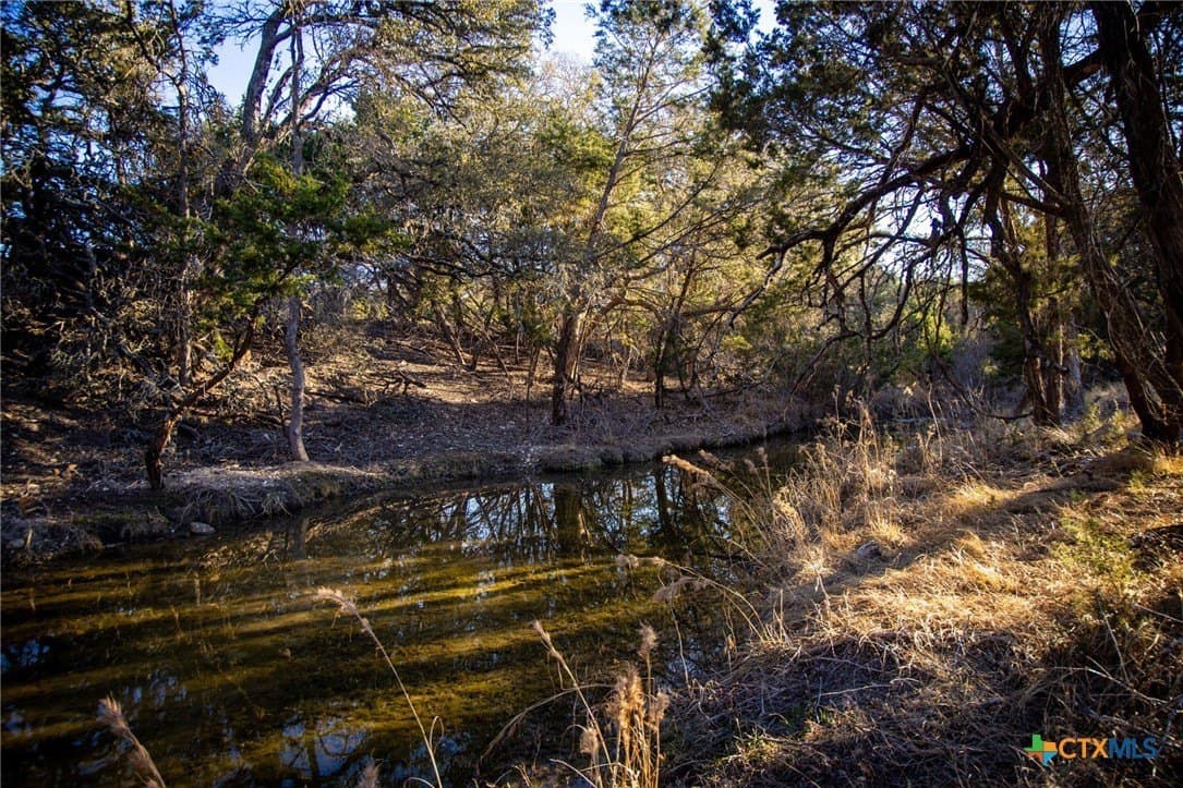 42 acres in Gillespie County - photo 9