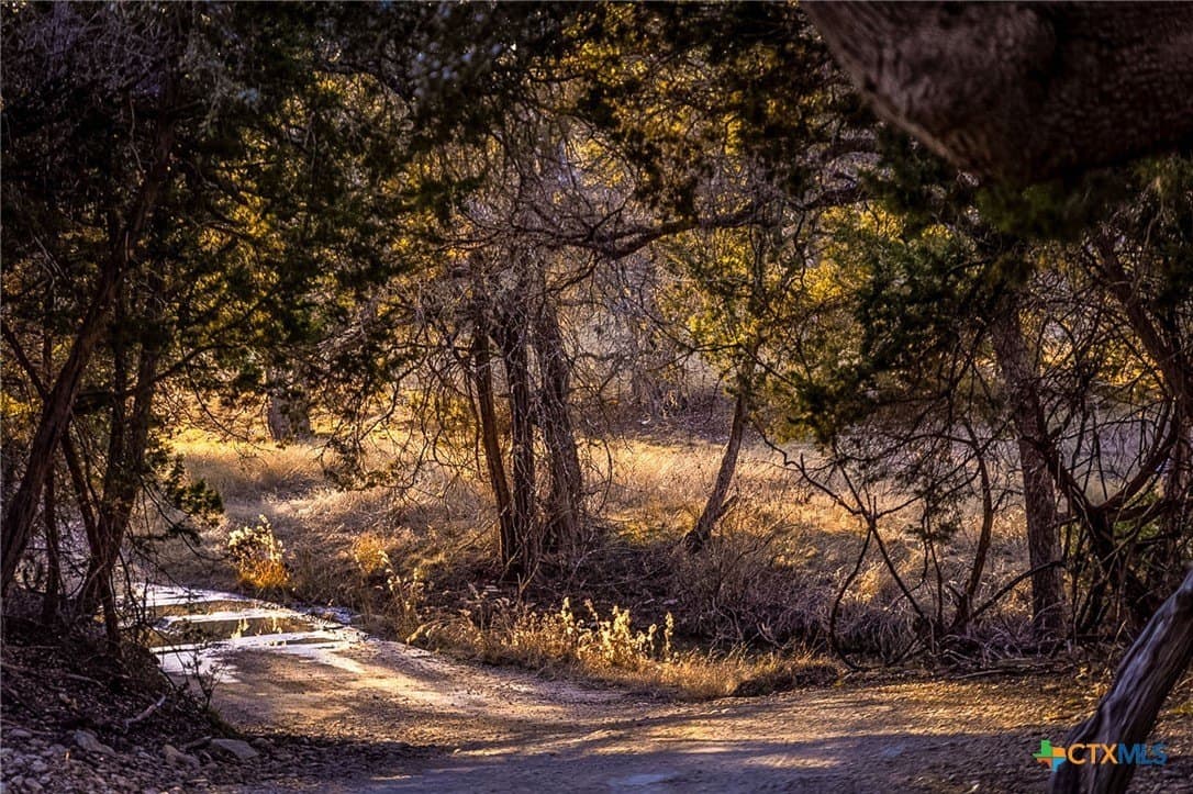 42 acres in Gillespie County - photo 7