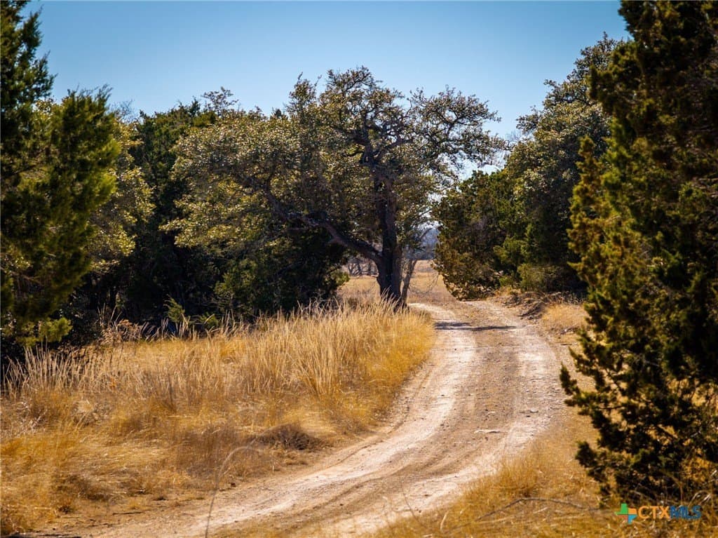 42 acres in Gillespie County - photo 11