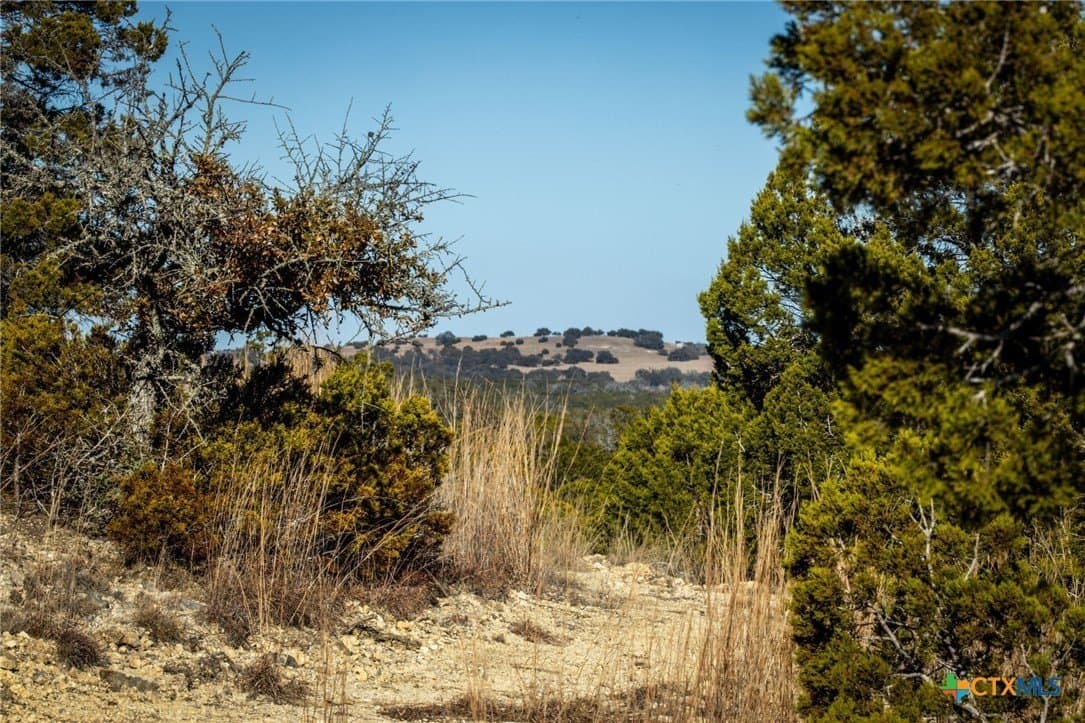 42 acres in Gillespie County - photo 31