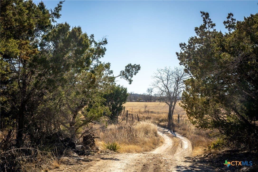 42 acres in Gillespie County - photo 12