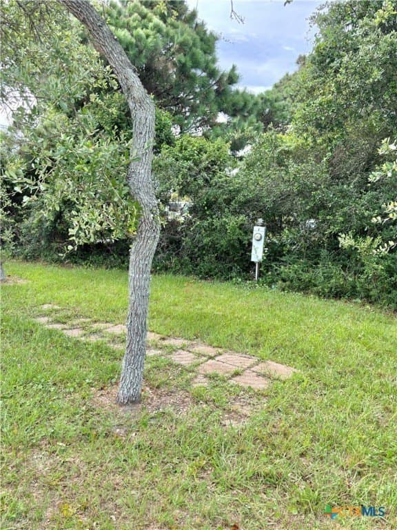 0.42 acres in Calhoun County - photo 9