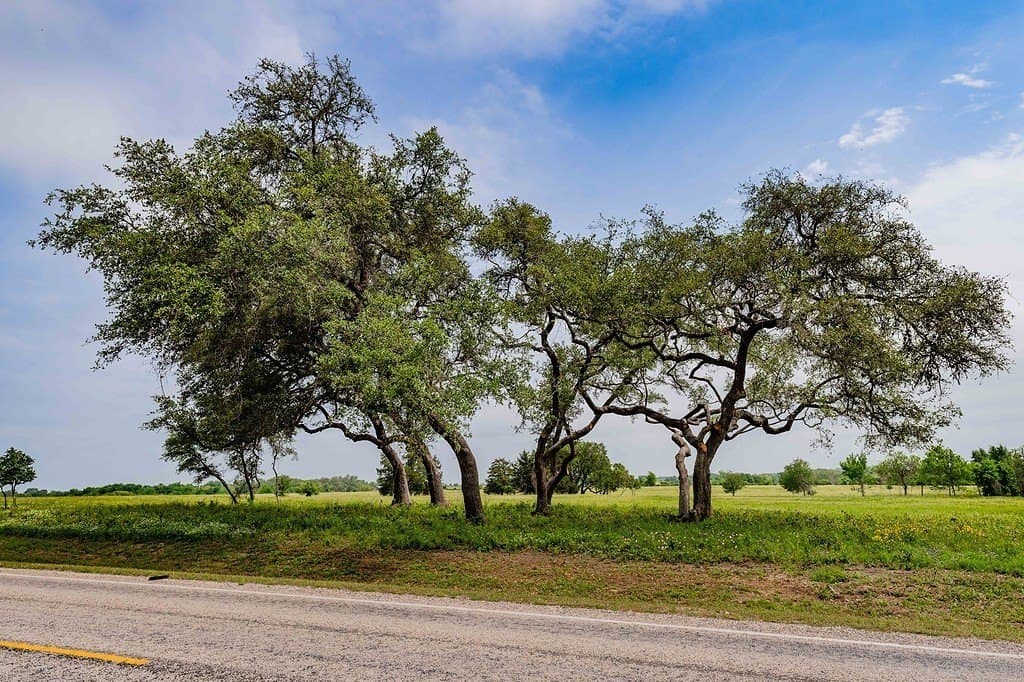 6.69 acres in Fayette County - photo 21