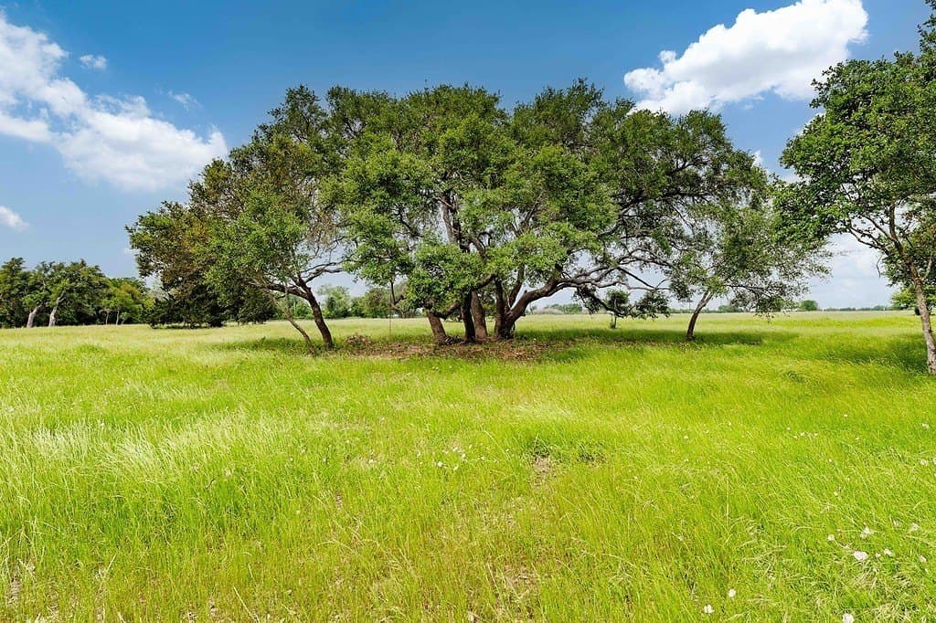 6.69 acres in Fayette County - photo 6