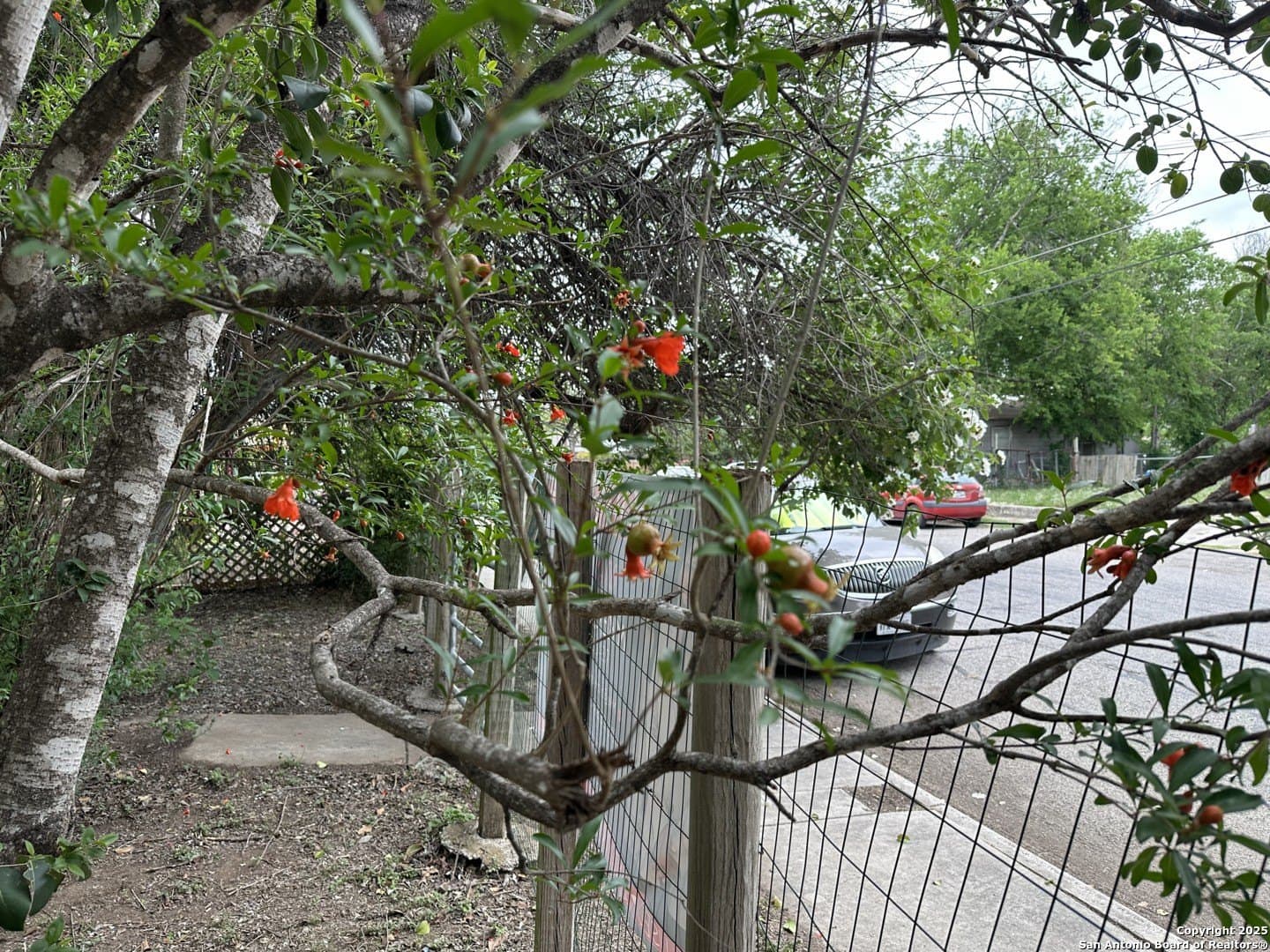0.2 acres in Bexar County - photo 6