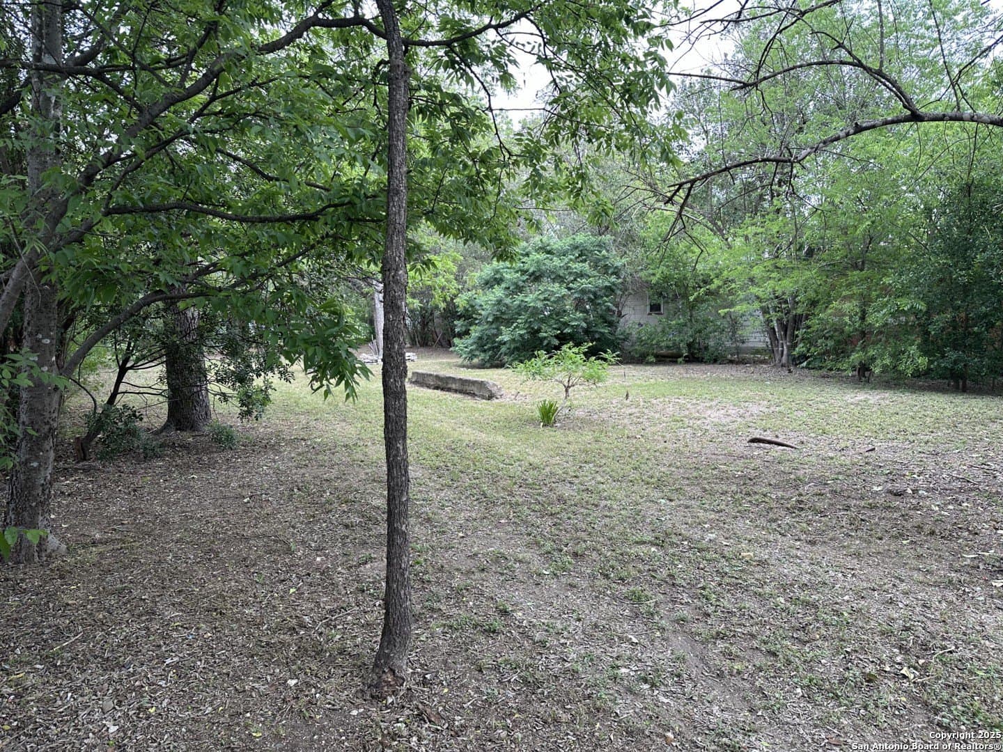 0.2 acres in Bexar County - photo 14