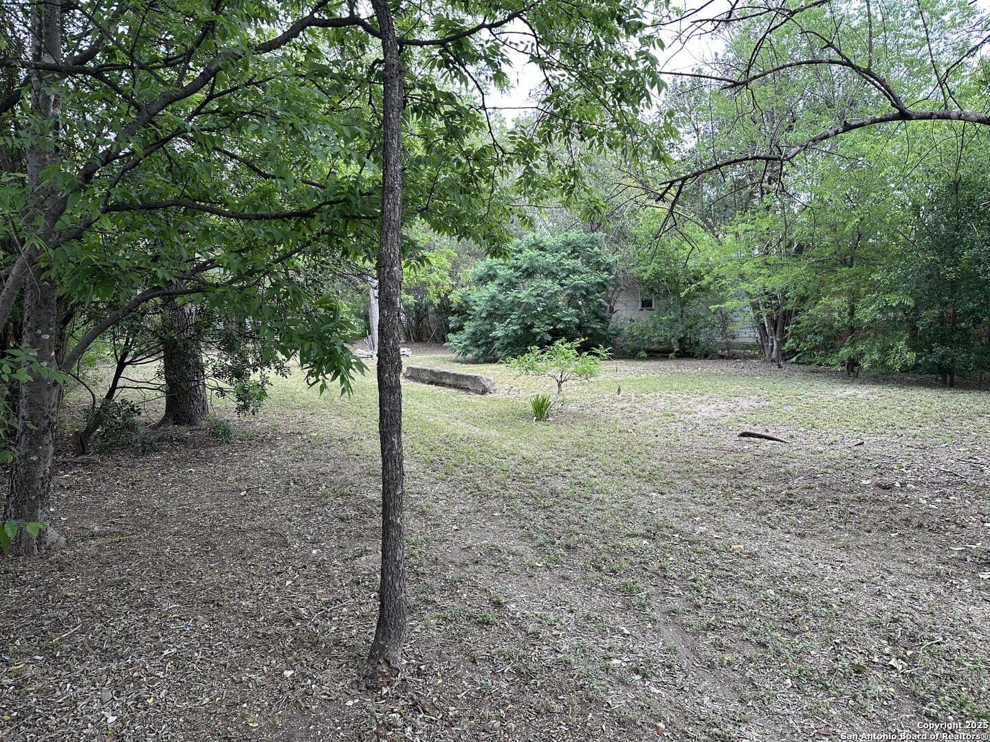 0.2 acres in Bexar County - photo 7