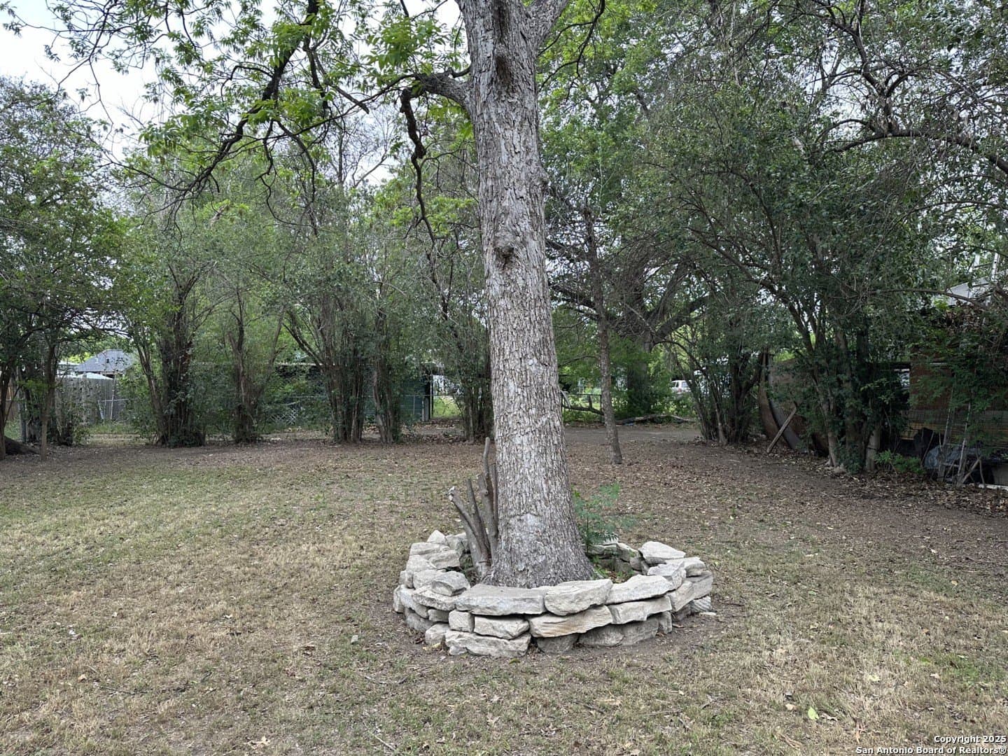 0.2 acres in Bexar County - photo 13
