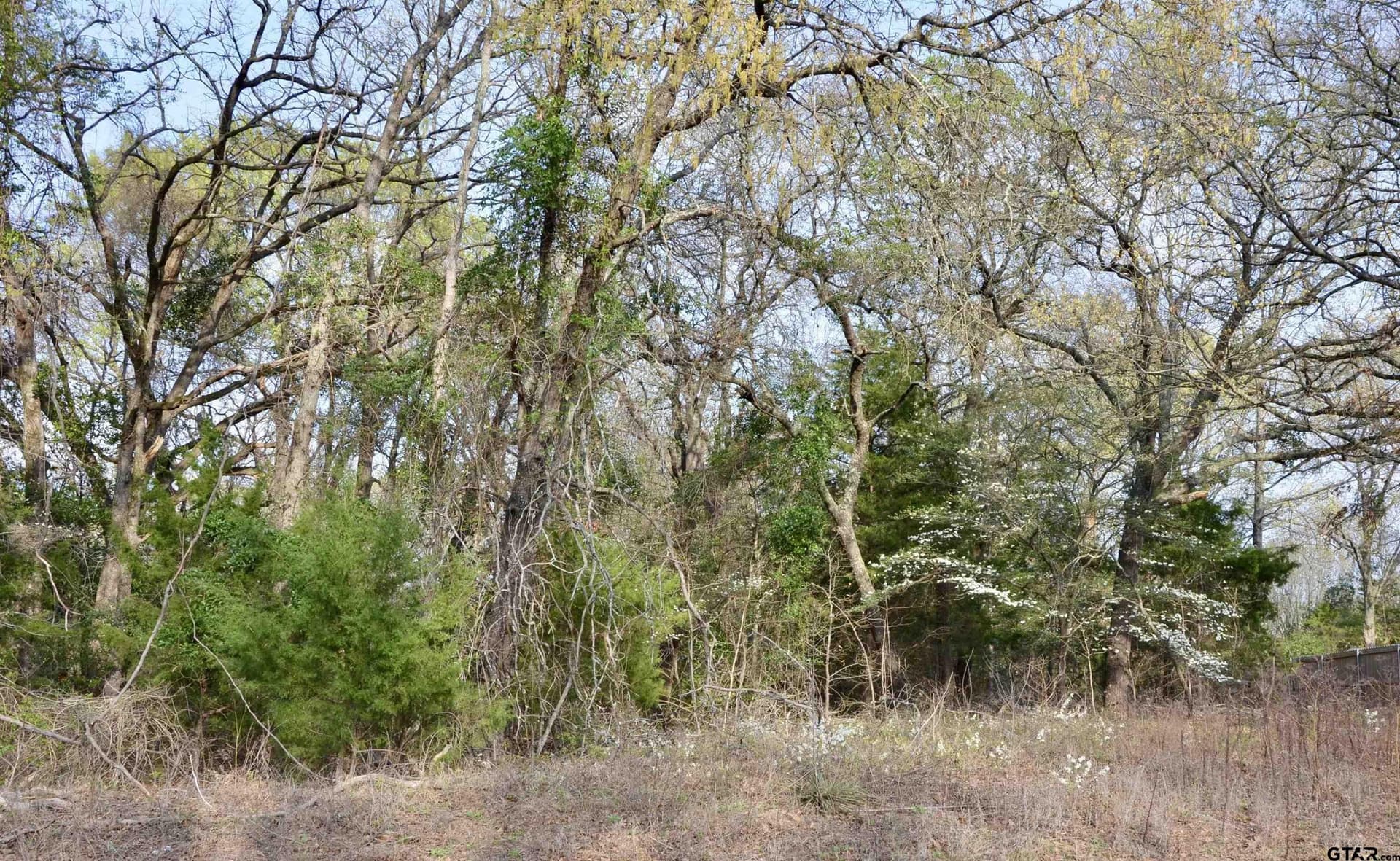 0.53 acres in Wood County - photo 6