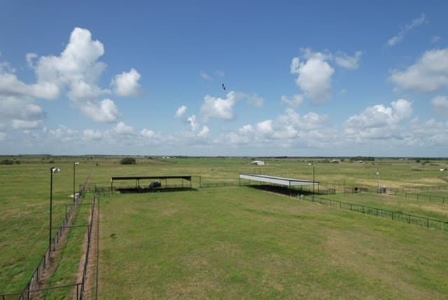 155 acres in Texas County - photo 39