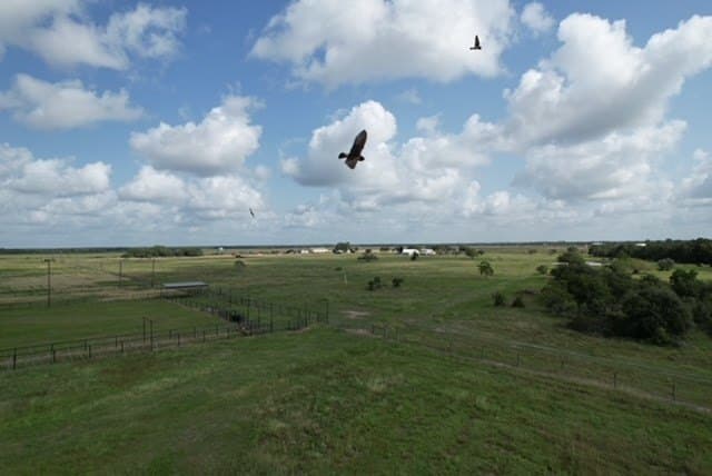 155 acres in Texas County - photo 25