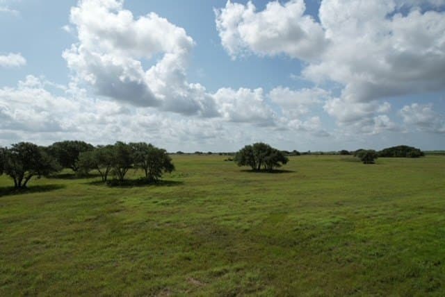 155 acres in Texas County - photo 48