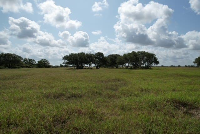 155 acres in Texas County - photo 46