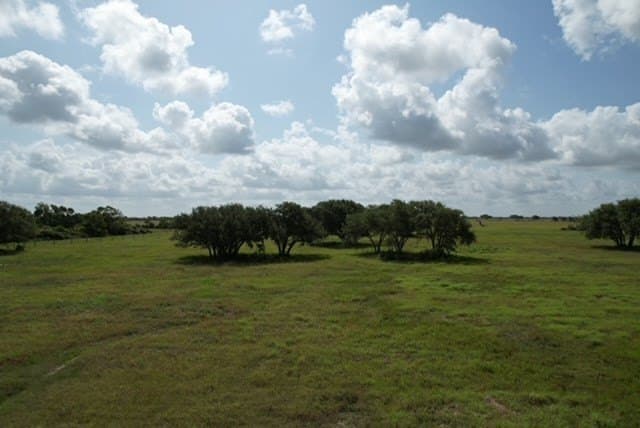 155 acres in Texas County - photo 47
