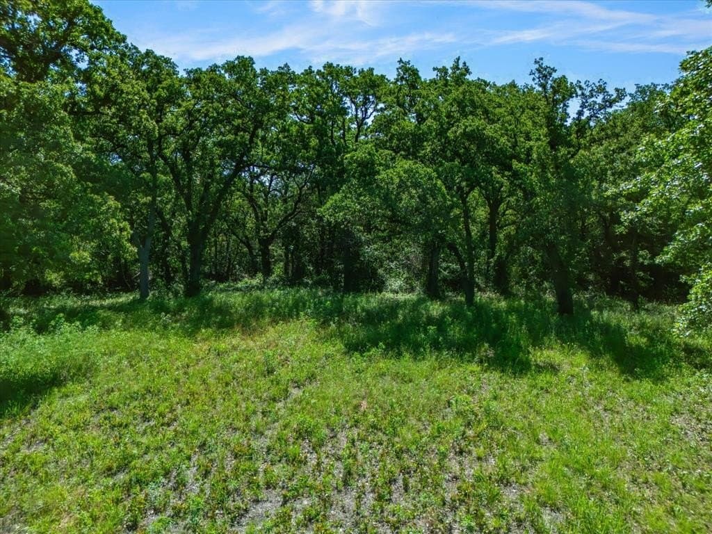 5.61 acres in Montague County - photo 18