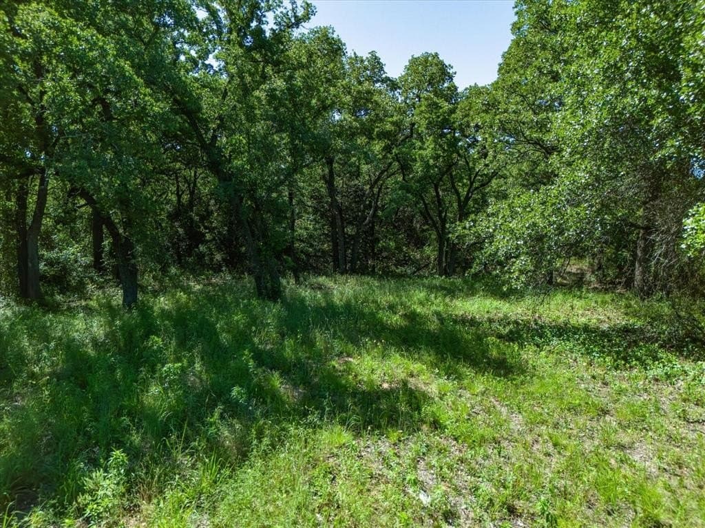 5.61 acres in Montague County - photo 19