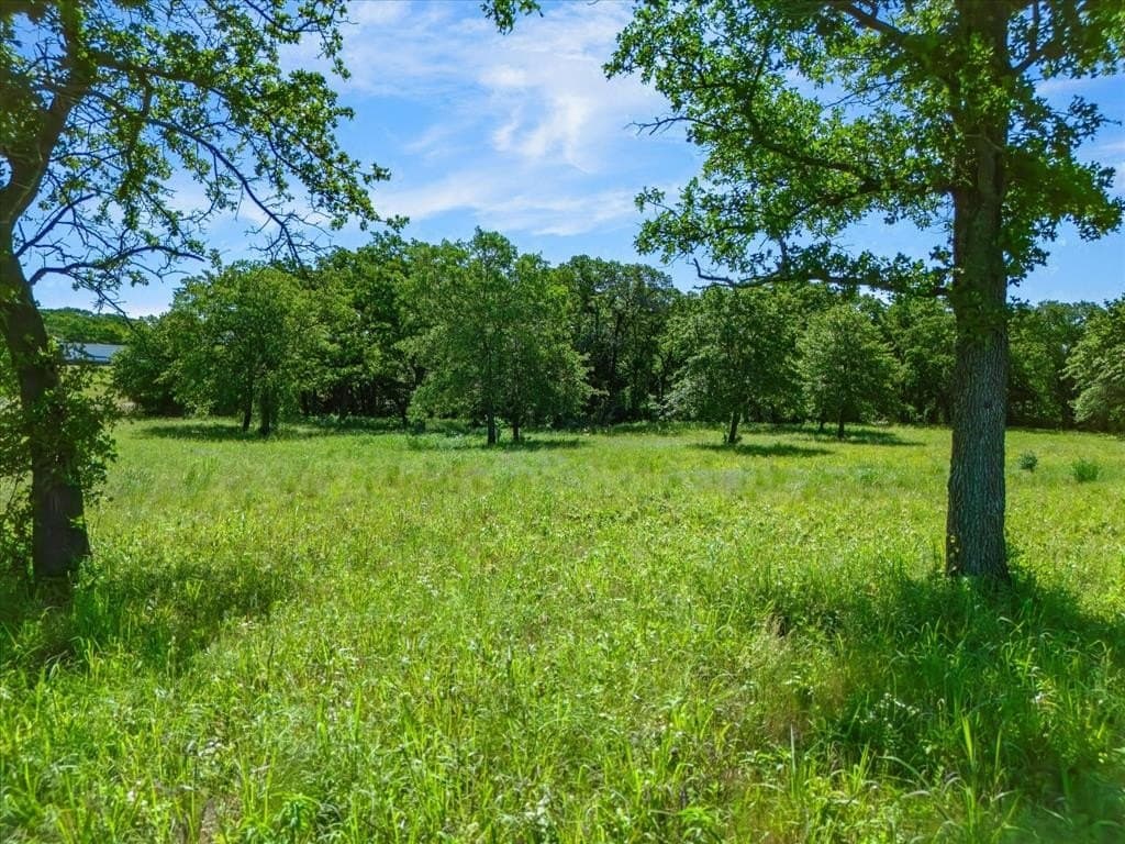 5.61 acres in Montague County - photo 6