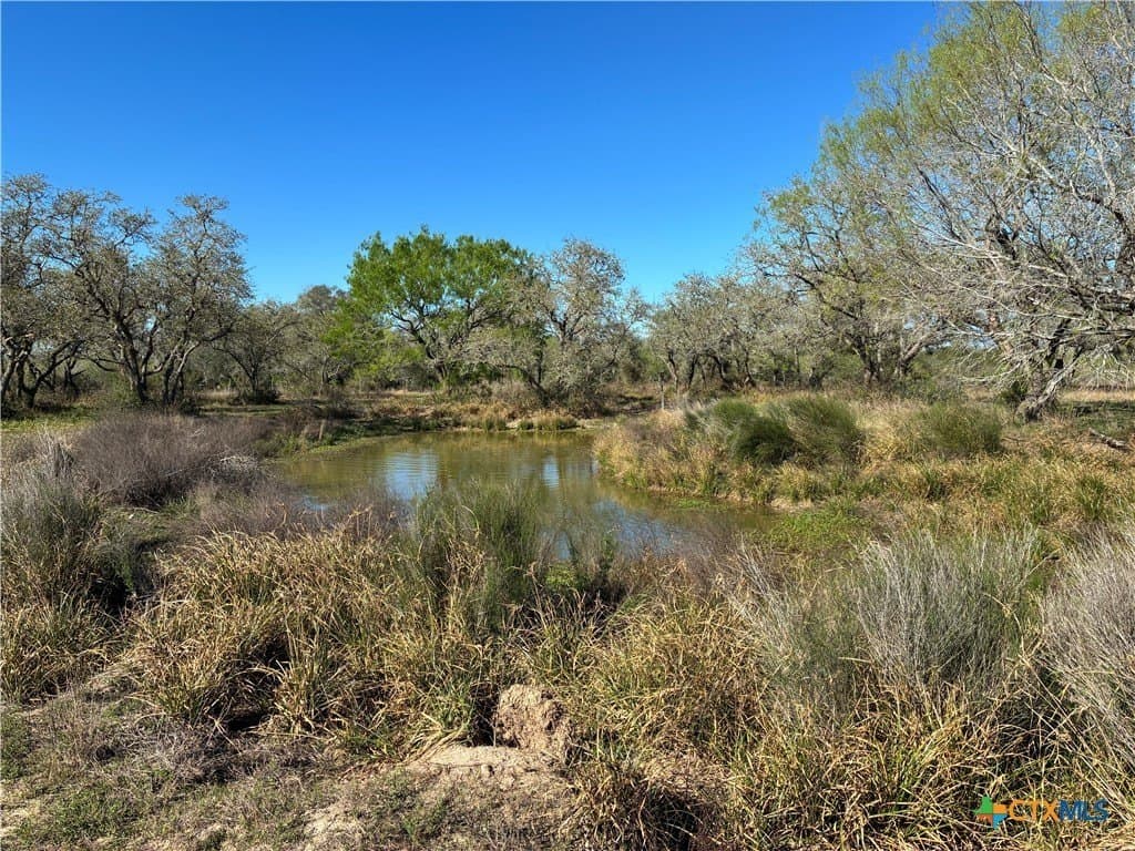 36.44 acres in Refugio County - photo 21