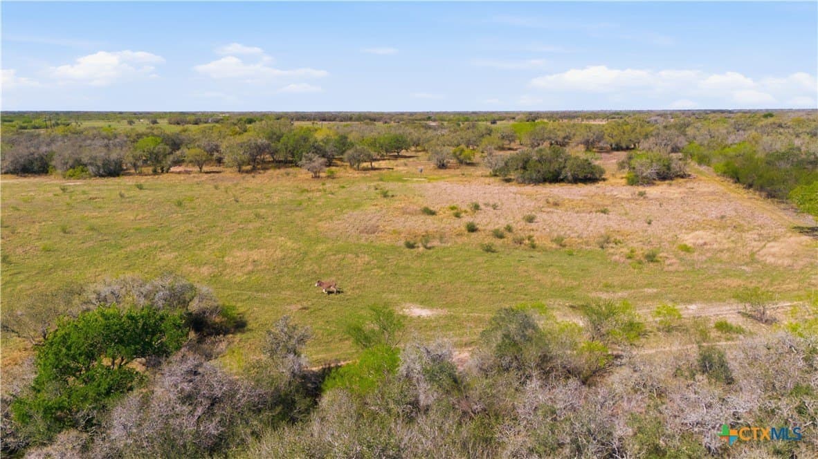 36.44 acres in Refugio County - photo 8