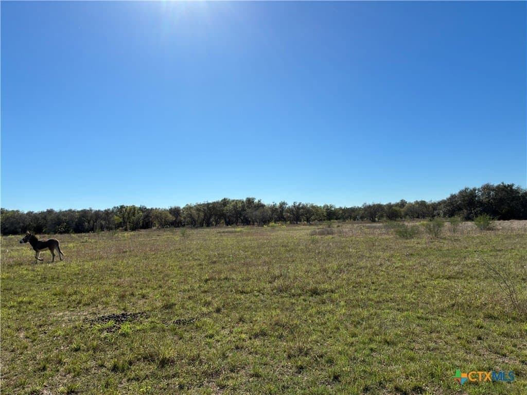 36.44 acres in Refugio County - photo 25