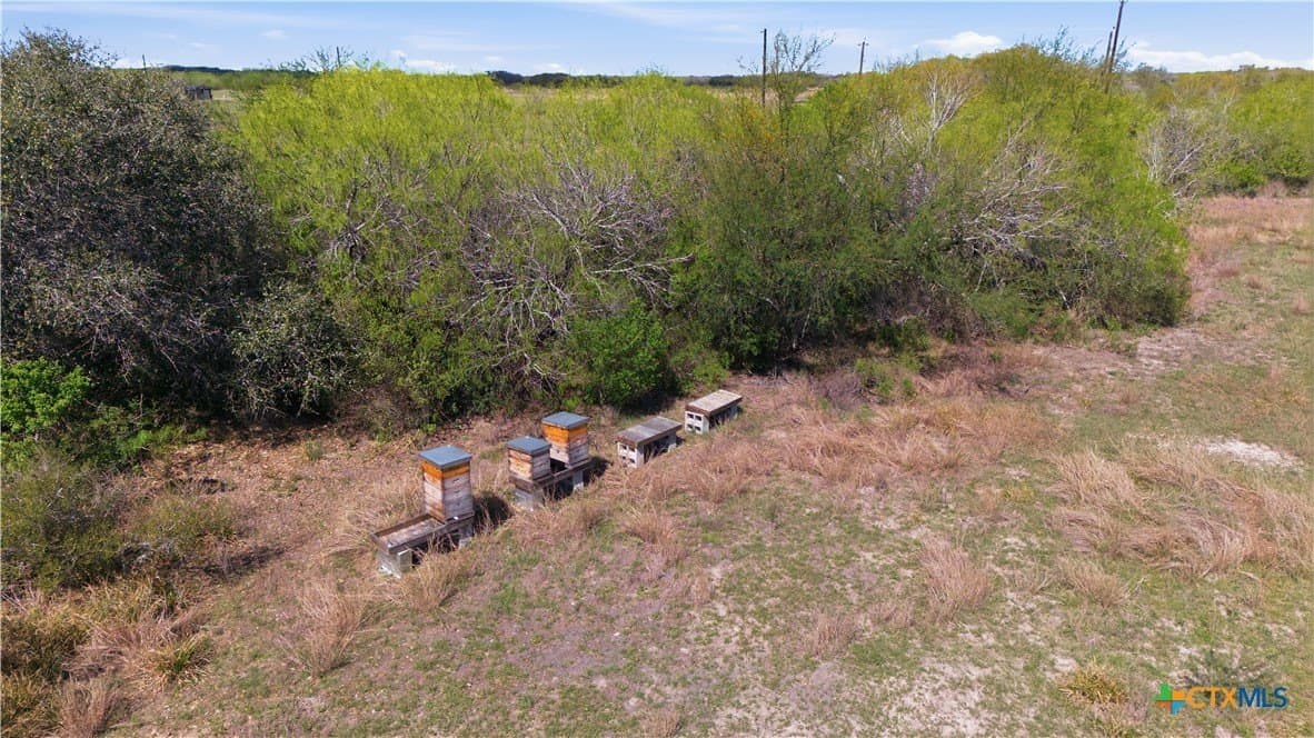 36.44 acres in Refugio County - photo 15