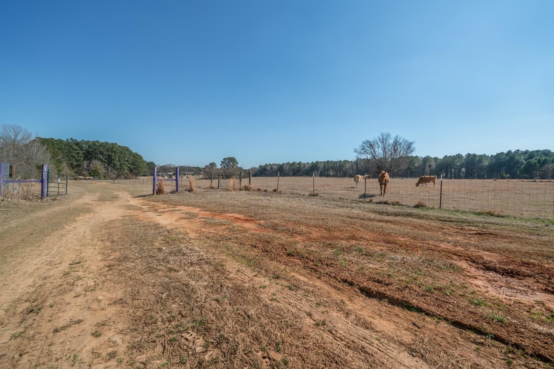 11 acres in Harrison County - photo 29