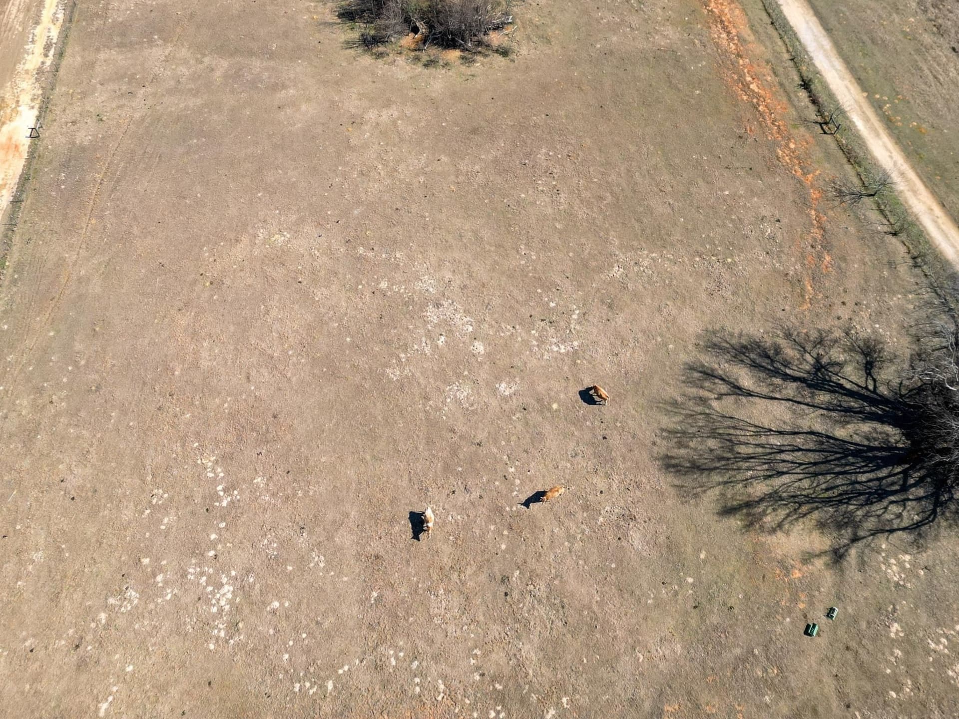 11 acres in Harrison County - photo 9